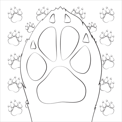 Dog Paw Coloring Page